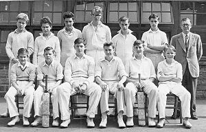 Under 15 Cricket 1959